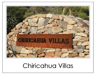 Chiricahua Villas Homes For Sale in Desert Mountain Scottsdale AZ